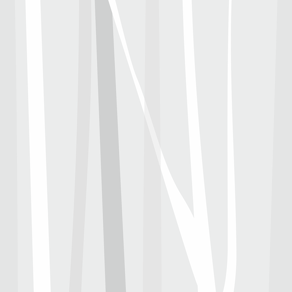 WR0212NW1518_PR zoom tapeta dla dzieci winter forest