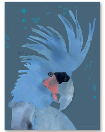 Plakat dziecięcy Blue Parrot